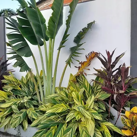 Espectacular Casa Privada En - Punta Canoa Сasa de vacaciones *